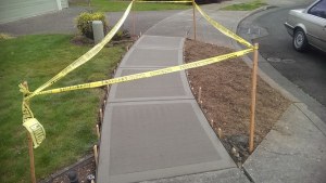 11159457_915508311833202_168150591616304870_n