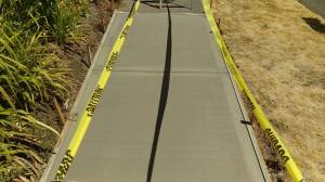 11752535_960728567311176_8136548288501255545_n