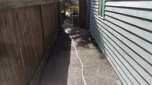 11813374_965770203473679_5184073994396152796_n